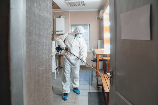 Best Mold Odor Removal Services  in Homerville, GA