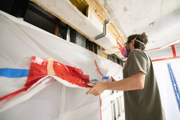 Best Mold Removal for HVAC Installations  in Homerville, GA