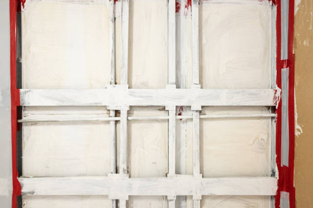 Best Mold Damage Restoration  in Homerville, GA
