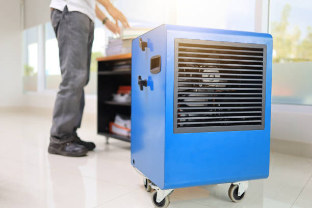 Best Residential Mold Inspection & Testing  in Homerville, GA